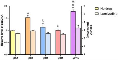 Frontiers | Biological Characterization Of Hepatitis B Virus Genotypes ...